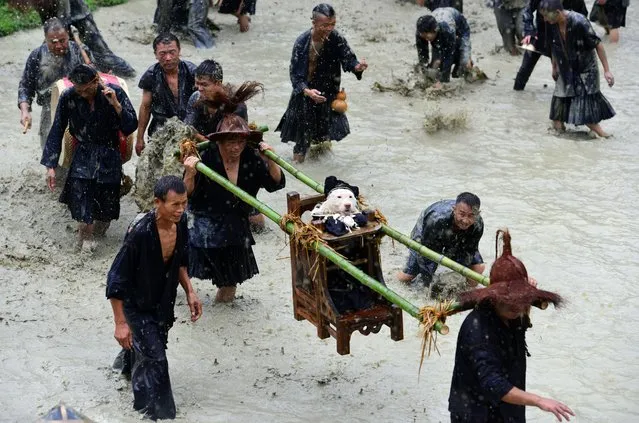 On Saturday, September 2, 2017, local Chinese villagers gathered to celebrate a folk festival parade known as “Dog carrying Day” in Jiaobang village, Gedong Town, Jianhe county, Qiandongnan Miao and Dong Autonomous Prefecture, southwest China's Guizhou province. The annual event dates back generations and marks how a dog once saved the village’s first settlers from thirst by leading them to water. Water shortages are common in the region due to porous rocks in the landscape which absorb water. The throne is supposed to be a sign of affection and respect but some animal rights campaigners have described the ritual as cruel. (Photo by Imaginechina/Rex Features/Shutterstock)