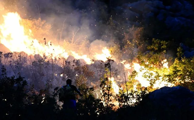 Bosnian volunteer firefighters face a fire near the Bosnian Adriatic coast town of Neum, on August 4, 2022. Wildfires in the area of Neum rage since August 3. No victims were recorded, but material damages are high. Firefighting is quite difficult after full 3 months of drought in the area, that caused dry grass, bush and evergreens to easily catch fire and burn rapidly. (Photo by Elvis Barukcic/AFP Photo)