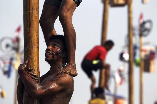 A man reacts as he holds on to a greased pole during the “Panjat Pinang” event organised in celebration of Indonesia's 69th Independence Day at Ancol Dreamland Park in Jakarta August 17, 2014. (Photo by Reuters/Beawiharta)