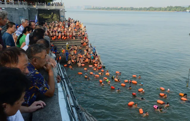 People swim in the Yangtze River in Changsha, Hunan province, July 31, 2016. (Photo by Reuters/Stringer)