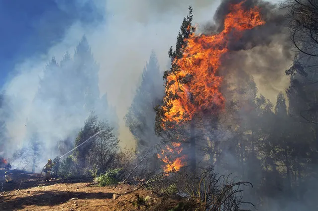 Cal Fire strike crews battle the King Fire in El Dorado County near Fresh Pond, Calif. on Wednesday, September 17, 2014. (Photo by Randall Benton/AP Photo/The Sacramento Bee)