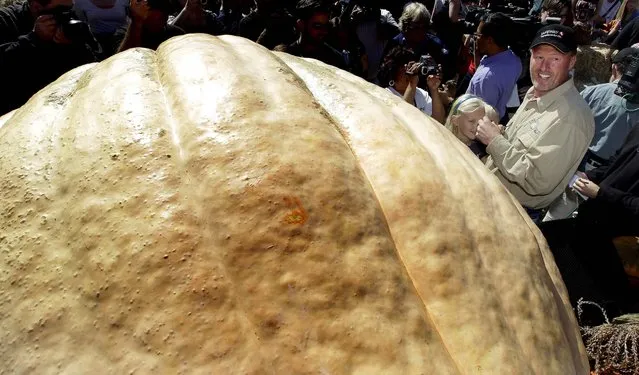 Thad Starr is interviewed after his pumpkin won the Half Moon Bay Pumpkin Festival Weigh-off contest in Half Moon Bay, California, on October 8, 2012. The pumpkin weighed 1,775 pounds (805 kg), setting a new California record. Starr won six dollars for each pound, which came to $10,650. (Photo by Tony Avelar/Associated Press)