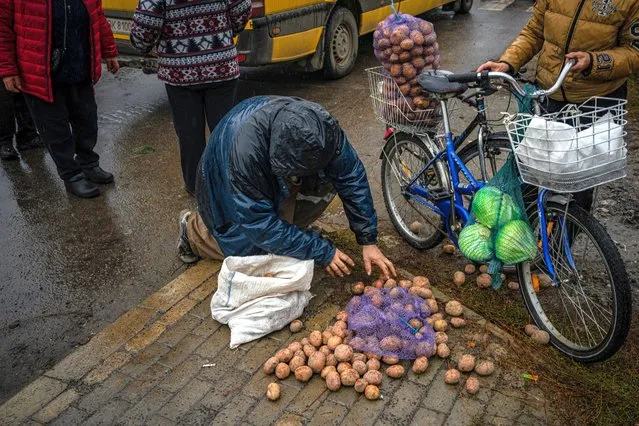 A local resident collects potatoes, that received as humanitarian aid, in Svyatohirs'k, Donetsk region, on October 20, 2022, after the liberation of the area. (Photo by Dimitar Dilkoff/AFP Photo)