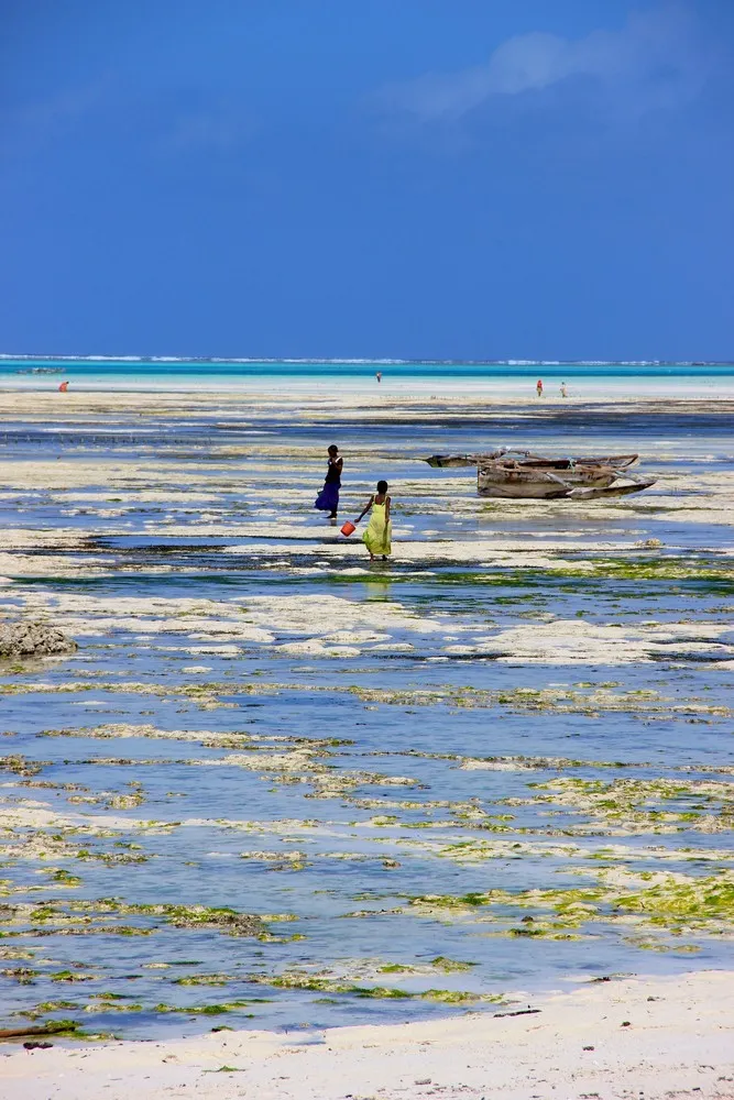 2014 National Geographic Photo Contest, Week 5