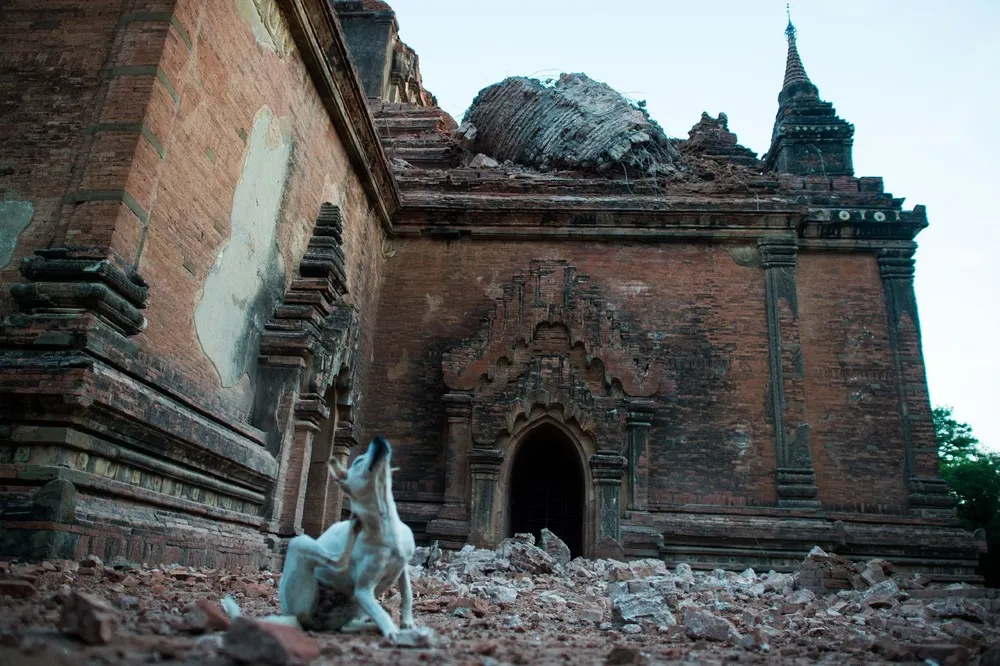 Quake in Myanmar