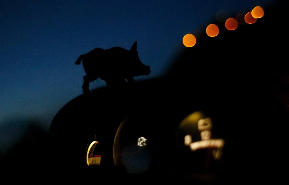 Italy Hunting Season