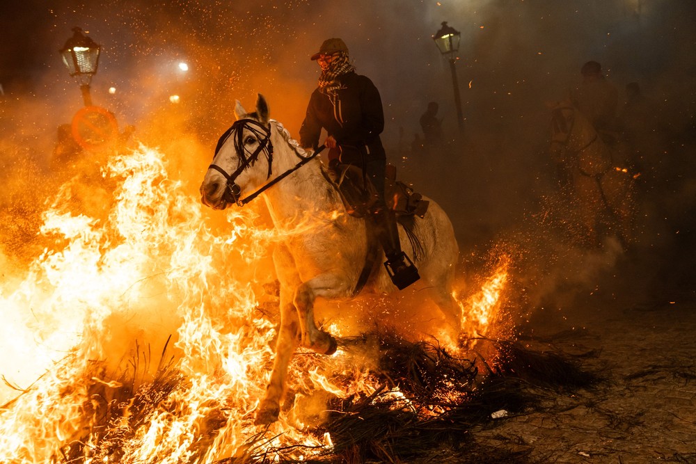 Pictures of the Year 2024, Part 019/240