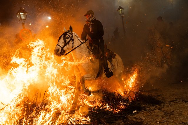 A man rides a horse through bonfires during “Las Luminarias” Festival on January 16, 2024 in San Bartolome de Pinares, Spain. Each year, horses leap through bonfires in a “purification ritual”, forging a connection between the town and its tradition of tending to livestock and agricultural practices. (Photo by Aldara Zarraoa/Getty Images)