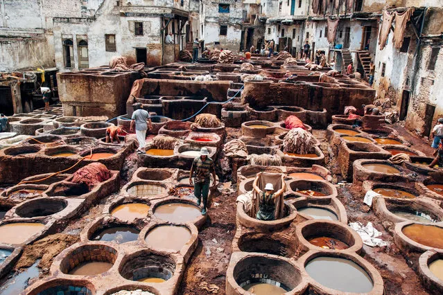 “The Tanneries Of Fez”. The hard workers of the Fez tanneries. Photo location: Morocco. (Photo and caption by Ed Schofield/National Geographic Photo Contest)