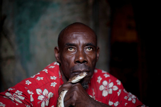 In this January 25, 2013 photo, snake handler Saintilus Resilus holds a snake in front of his lips as he trains the snake to recognize his smell as he prepares for his street performances during the pre-Lenten Carnival season, at his home in Petionville, Haiti. Resilus sees himself as something of a performance artist, showing off with snakes and other animals that Haitians don't see every day, earning tips from impromptu audiences. (Photo by Dieu Nalio Chery/AP Photo/Matt Dayhoff)