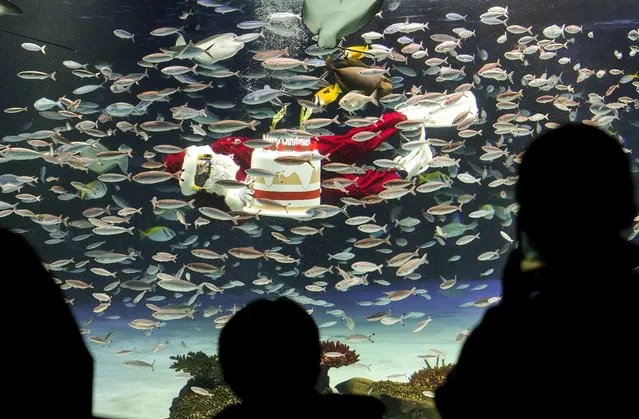 Visitors enjoy viewing a diver in a Santa Claus costume feeding fish with a mock Christmas cake during a special seasonal feeding performance at the Sunshine Aquarium in Tokyo, Japan, 23 December 2022. The aquarium gives no detailed time schedule for the feeding events from 23 to 25 December to prevent further spread of the COVID-19 infection. The aquarium's divers had practiced for weeks for only three days of this special feeding show performance. (Photo by Kimimasa Mayama/EPA/EFE)