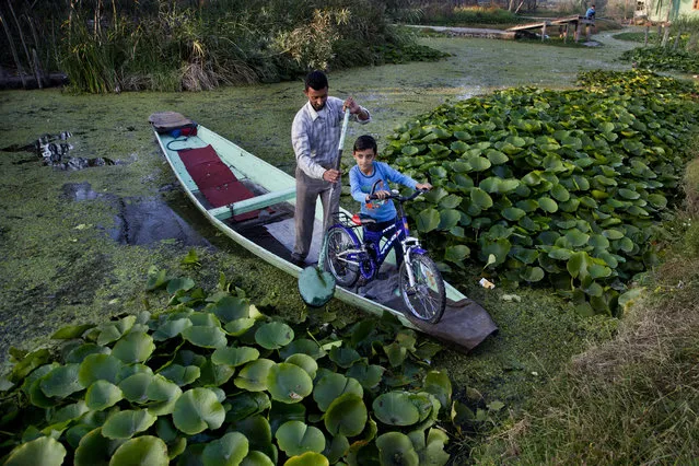 Kashmiri boy Uzair Ali holds on to his bicycle as his father paddles the Shikara, or traditional Gondola, past the interiors of the Dal Lake on the outskirts of Srinagar, Indian controlled Kashmir, Thursday, October 1, 2015. Shikaras are small wooden boats used by locals living around water bodies in Kashmir for multiple purposes, including transportation of people, fishing, carrying harvest of aquatic vegetation. (Photo by Dar Yasin/AP Photo)