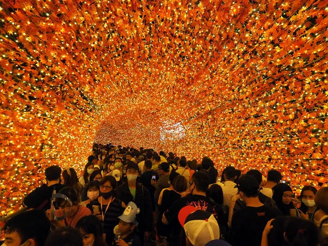 People walk through the Maple Leaf Tunnel in New Taipei City, Taiwan, 15 November 2020. The New Taipei City Government has kickstarted Christmas celebrations by installing a Christmas tree and light decorations as well as hosting performances for children. (Photo by David Chang/EPA/EFE)