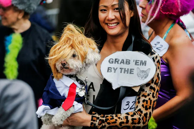 A reveller carries her dog which is depicted as Republican U.S. presidential nominee Donald Trump during the annual halloween dog parade at Manhattan's Tompkins Square Park in New York, U.S. October 22, 2016. (Photo by Eduardo Munoz/Reuters)
