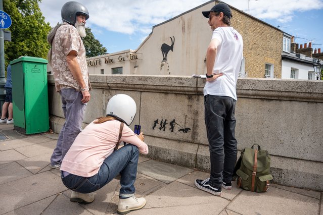A view of newly unveiled mural art by the artist Banksy on a wall at Kew Bridge in London, United Kingdom on August 7, 2024. The new work on a wall shows a goat standing on a thin wall, with rocks tumbling down signifying the animal's perilous position. (Photo by Ray Tang/Anadolu via Getty Images)
