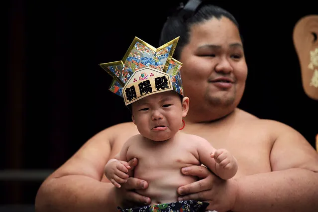 A baby cries as he is carried by a sumo wrestler on a ring during the Nakizumou event at Sanctuary Yukigaya Hachiman on April 29, 2023, in Tokyo, Japan.  Nakizumou (Crying sumo) is a 400 years traditional Japanese event to pray for the health and growth of babies, and which is originating from the legend that a baby's cry wards off evil. The event, which was canceled for three years in Japan following the COVID-19 epidemic, is being organized again while maintaining health security measures to avoid any risk of contamination par le coronavirus despite the demotion of the COVID-19 virus in rank of influenza by the Japanese government early next month. (Photo by David Mareuil/Anadolu Agency via Getty Images)