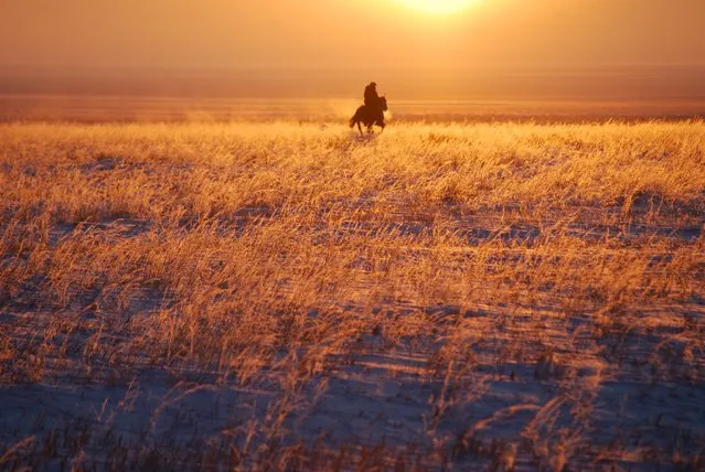 “Kazakh Horseman Riding Through Winter Steppe of Fire”. Driving through hours and hours of steppe with Kazakh colleagues in January we stopped on the side of the road to stretch our legs in –30 C temperatures as the winter sun descended. (Photo and caption by Josh Brann/National Geographic Traveler Photo Contest)