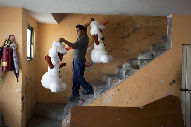 In this January 23, 2015 photo, Guillermo Luna Martinez, 36, carries freshly painted piñatas representing Disney's Frozen snowman character Olaf downstairs to where his wife Elvia Vicente Albarran will use paper to craft the character's eyes, teeth, and distinctive tuft of hair, at the family's workshop in the Iztapalapa neighborhood of Mexico City. (Photo by Rebecca Blackwell/AP Photo)