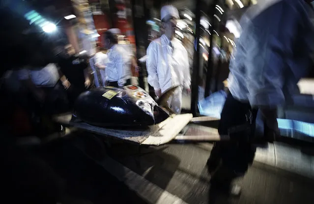 Workers from Kiyomura Co. unload a bluefin tuna from a cart at Sushi Zanmai restaurant near Tsukiji fish market in Tokyo, Tuesday, January 5, 2016. (Photo by Eugene Hoshiko/AP Photo)