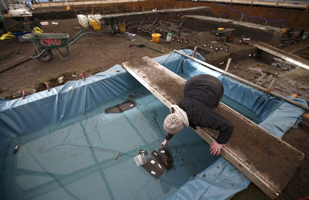An archaeologists from the University of Cambridge Archaeological Unit, places a piece of timber, from an uncovered Bronze Age house, and preserved in silt, into a water pool at a quarry near Peterborough, Britain, January 12, 2016. (Photo by Peter Nicholls/Reuters)