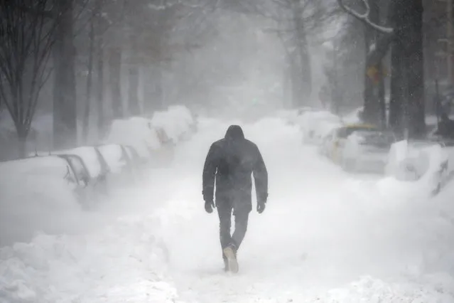 A man walks along a street covered by snow during a winter storm in Washington January 23, 2016. (Photo by Carlos Barria/Reuters)