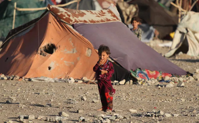 Afghan Internally Displaced persons live in their temporary shelters in Herat, Afghanistan, 29 July 2018. According to rights groups, hundreds of thousands of Aghans have been forced to flee their homes due to violence in the past several years and urged the Afghan government and the international community to tackle the country's growing crisis of refugees internally displaced by war. (Photo by Jalil Rezayee/EPA/EFE)
