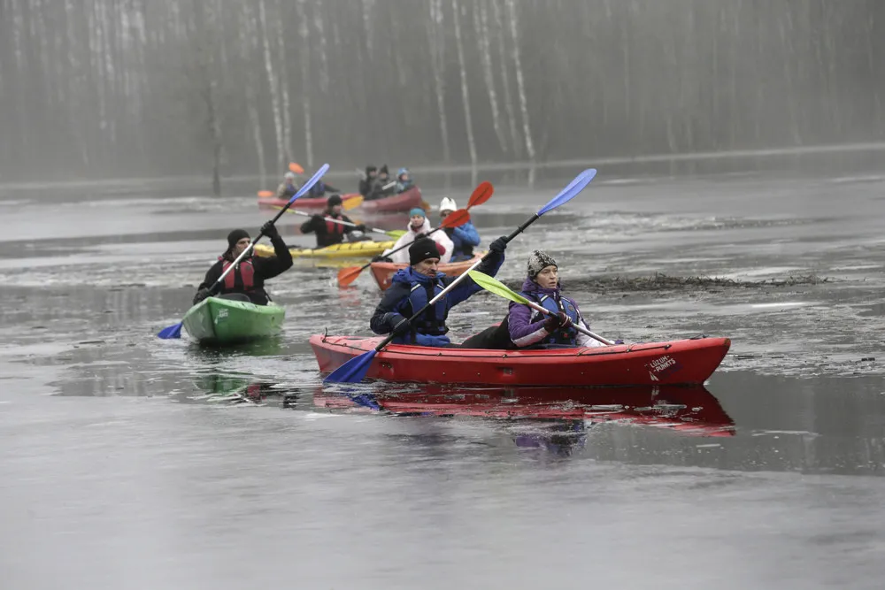 Canoe Tour in the Flooded Forest