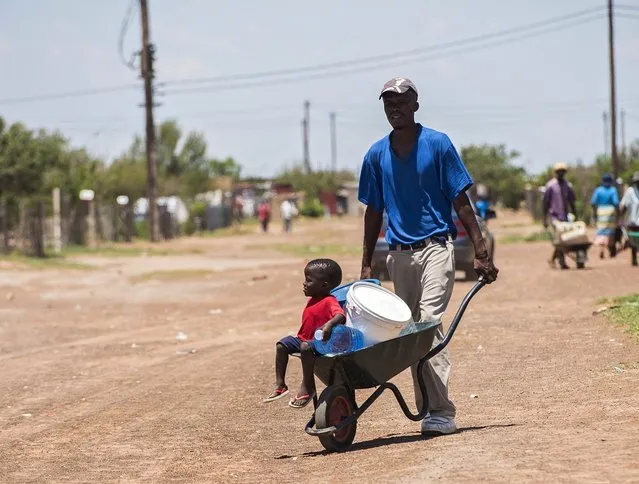 Residents push a wheelbarrow with water containers leaving a water distribution point in the rural farming town of Senekal, South Africa, 10 February 2016. The water is trucked to the town by local government sources. The town has had a severe water shortage for the past few months with residents having to queue for water at water hand out points. Large parts of this district and widespread areas of South Africa are experiencing the worst drought in 30 years as well as the highest temperatures in decades. (Photo by Shiraaz Mohamed/EPA)