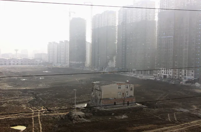 A “nail house”, the last building in the area, is seen surrounded by a ditch at a construction site for a new residential compound in Xiangyang, Hubei province, China, November 19, 2013. (Photo by Reuters/Stringer)