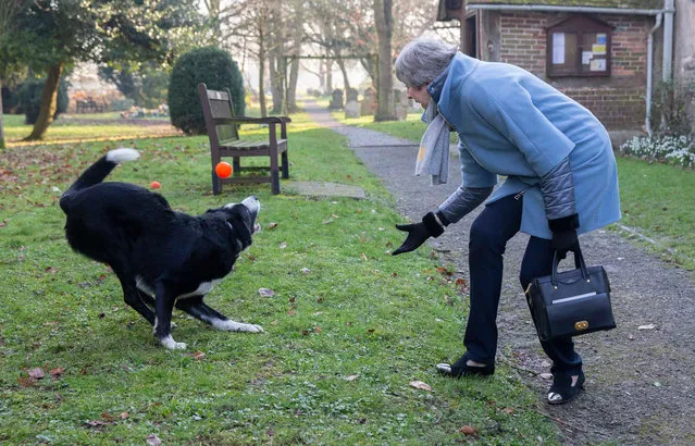 Prime Minister Theresa May plays ball with Blitz the border collie after she attended her local Church in Maidenhead, England on February 17, 2019. (Photo by David Hartley/Rex Features/Shutterstock)