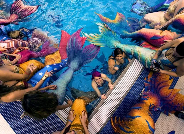 Merfolk gather at MerMania 2017, the world's largest gathering of amateur and professional mermaids and mermen in North Carloina, USA on January 21, 2017. (Photo by Brian Cahn/ZUMA Wire/Rex Features/Shutterstock)