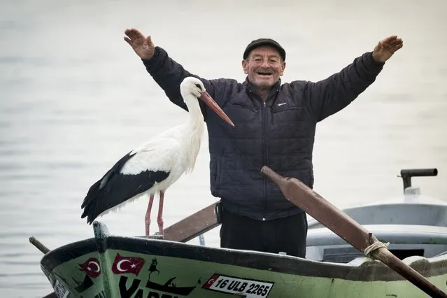 Stork “Yaren” perches on fisherman Adem Yilmaz's boat in Eskikaraagac 'Stork' Village of Bursa, Turkey on February 29, 2024. The stork, named Yaren landed on fisherman Adem Yilmaz' boat while he was sailing on Uluabat Lake 13 years ago and their friendship continues since then. Yilmaz said that even though the stork goes away for six months each year, when she gets back she finds him immediately and the friendship picks up right where it left off. (Photo by Alper Tuydes/Anadolu via Getty Images)