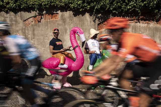 A supporter dressed as flamingo cheers on the riders during the 12th stage of the 102nd Giro d'Italia – Tour of Italy – cycle race, 158kms from Cuneo to Pinerolo on May 23, 2019. (Photo by Marco Bertorello/AFP Photo)