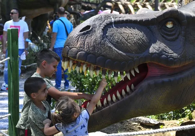Children enjoy playng with and between the replicas of dinosaurs in the newly opened “Dino Park” in the zoo in Skopje, Republic of North Macedonia, 05 June 2021. The newly opened Dino Park for around 300 visitors fearures 41 dinosaurs, of which some are emitting sounds and show synchronized movements. Replicas of Tyrannosaurus, Stegosaurus, Alosaurus and smaller dinosaurs are displayed but also scenes showing Dino mothers with their babies or eggs fill the 2,000 square meters area that is additionally enriched with 430 tall and low-stemmed plants. The director of the Skopje Zoo, expects some 15,000 people from Skopje and the region to visit the Dino Park on its opening weekend. (Photo by Georgi Licovski/EPA/EFE)