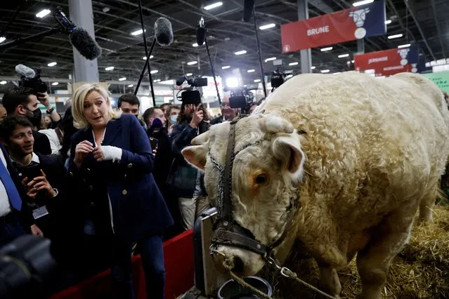 Marine Le Pen, leader of French far-right National Rally (Rassemblement National) party and candidate for the 2022 French presidential election, looks at a cow as she visits the 58th International Agriculture Fair (Salon de l'Agriculture) at the Porte de Versailles exhibition center in Paris, France, March 2, 2022. (Photo by Johanna Geron/Reuters)