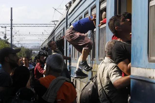 In this photo taken on Thursday, July 23, 2015 migrants  enter a train to Serbia at the railway station in the southern Macedonian town of Gevgelija. (Photo by Boris Grdanoski/AP Photo)