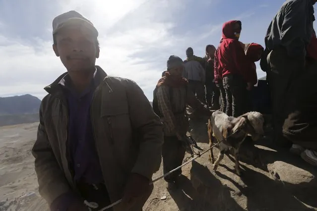 Hindu worshippers hold a goat, which will be thrown into the crater as their offering, during the Kasada Festival at crater of Mount Bromo in Probolinggo, Indonesia's East Java province, August 1, 2015. (Photo by Reuters/Beawiharta)