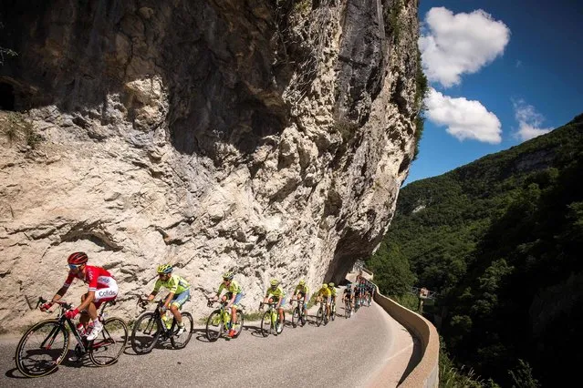 The pack rides during the second stage (Cluses – Saint – Vulbas) of the 68th edition of the Dauphine Criterium cycling race on June 06, 2016 in Saint-Vulbas. (Photo by Lionel Bonaventure/AFP Photo)