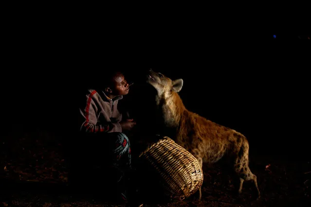 Abbas Yusuf, 23, known as Hyena Man, feeds a hyena on the outskirts of Harar, Ethiopia, February 23, 2017. Hyenas roam the streets of the ancient walled city of Harar in eastern Ethiopia every night, seeking scraps of meat to drag to the nearby caves. But residents are not afraid. A family chosen by the town to feed the animals is not daunted by the task despite the dangers that are associated with coming into close quarters with such wild animals. Abbas Yusuf, known as Hyena Man, learnt to feed the hyenas from his father, Yusuf Mume Salleh, who fed them for 45 years before passing the job to his son 13 years ago. “Hyenas have never attacked the people of Harar after my father started feeding them, unless you harm their babies”, Abbas Yusuf told Reuters. (Photo by Tiksa Negeri/Reuters)