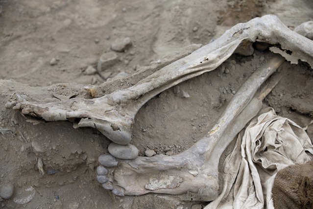 In this Thursday, August 24, 2107 photo, the remains of recently discovered 19th century Chinese immigrants lay at a sacred pre-Incan site in Huaca Bellavista in Lima, Peru. As many as 100,000 Chinese migrants arrived as semi-enslaved workers to Peru in the second half of the 19th century and for little pay performed back-breaking work on farms, building railroads and removing guano, which is bird excrement coveted as fertilizer. (Photo by Martin Mejia/AP Photo)