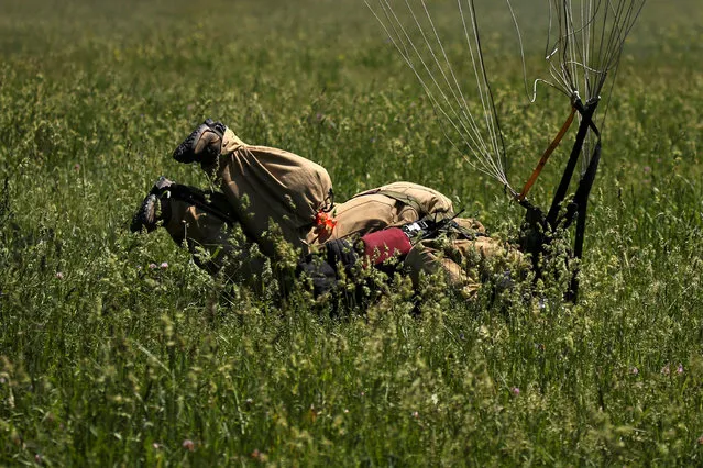 A smokejumper recruit lands after leaping from an airplane during a training exercise in a field adjacent to the North Cascades Smokejumper Base in Winthrop, Washington, U.S., June 7, 2016. (Photo by David Ryder/Reuters)