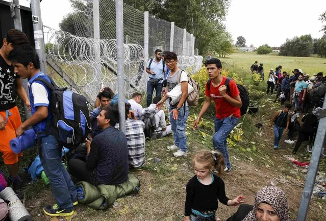 Migrants wait to enter Hungary near the village of Horgos, Serbia, September 15, 2015. (Photo by Marko Djurica/Reuters)