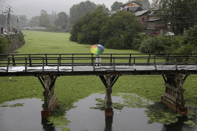 A Kashmiri man holding an umbrella fishes from a weed covered portion of the Dal Lake standing on a wooden bridge as it rains in Srinagar, Indian controlled Kashmir, Sunday, August 28, 2016. (Photo by Mukhtar Khan/AP Photo)