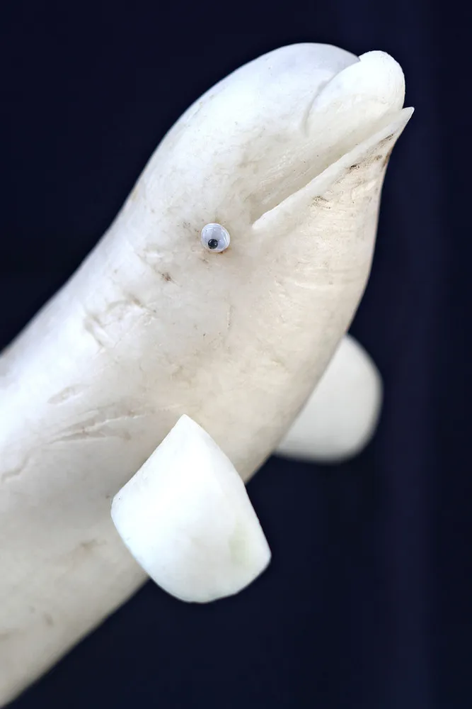 Amusing Bestiary by Vanessa Dualib