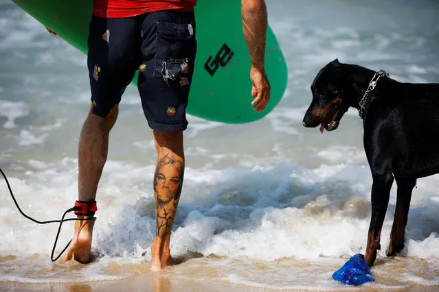 A surfer stands next to a dog along the shore of the Mediterranean Sea as Israel enters its fourth day under a second nationwide lockdown amid a resurgence in the new coronavirus disease (COVID-19) cases, in Ashkelon, Israel on September 21, 2020. (Photo by Amir Cohen/Reuters)