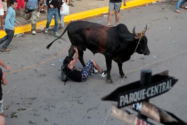 A man is knocked over by a bull which was set loose on the street of the city as part of the festivities in honour of the patron saint of Masaya, San Jeronimo in Masaya, Nicaragua September 29,2016. (Photo by Oswaldo Rivas/Reuters)