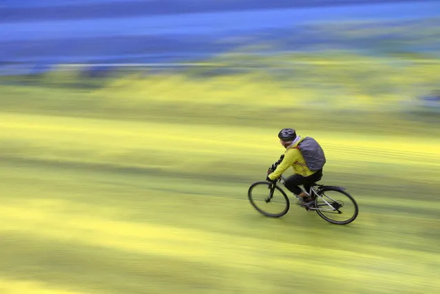 A cyclist rides on a painted road, after Protest group “Led by Donkeys” spread paint in the colours of the Ukrainian flag on the road, ahead of the first anniversary of Russia's invasion of Ukraine, outside the Russian Embassy in London, Britain on February 23, 2023. (Photo by Hannah McKay/Reuters)