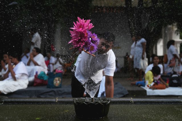 A Buddhist devotee cleans flowers using a water spray before worshipping on Vesak Day, an annual celebration of Buddha's birth, enlightenment, and death, at the Kelaniya temple in Colombo, Sri Lanka on May 12, 2025. (Photo by Thilina Kaluthotage/Reuters)