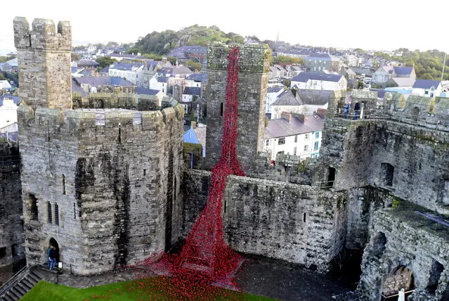The poppy sculpture “Weeping Window”, a cascade of thousands of handmade ceramic poppies by artist Paul Cummins and designer Tom Piper on display at Caernarfon Castle, Wales, October 17, 2016. (Photo by Rebecca Naden/Reuters)