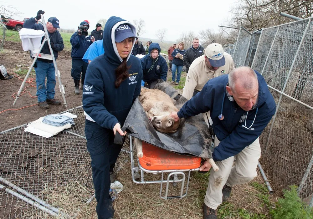 The Week in Pictures: Animals, May 6 – May 10, 2013